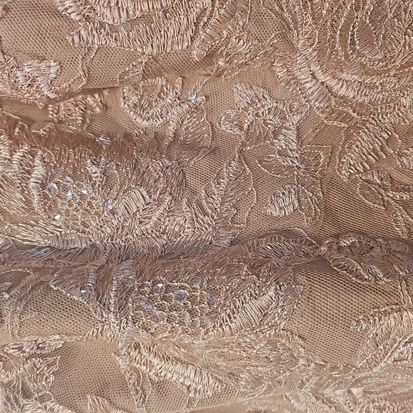 Celebrate Studios Pale Pink Dress (0) - Picture 4 of 11